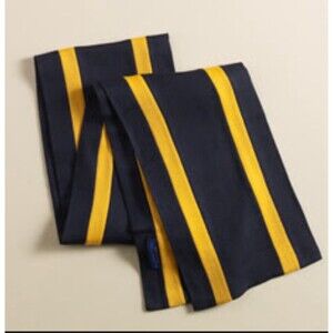 MARTIN + OSA University Scarf Blue Yellow Stripe Rugby Style Academia Collegiate